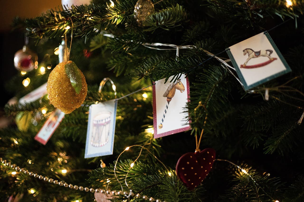 collection-banner-image